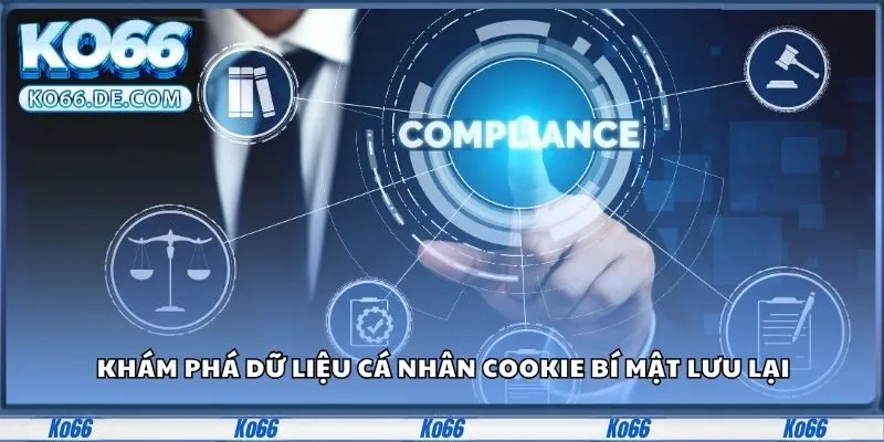 Khám phá dữ liệu cá nhân Cookie bí mật lưu lại