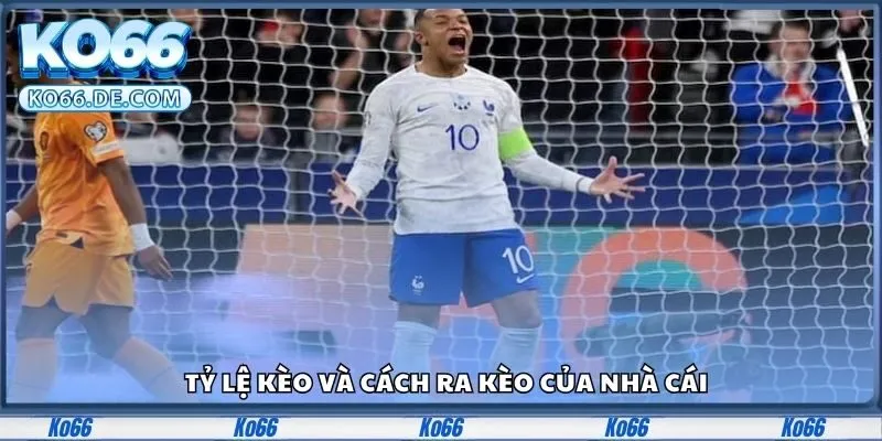 Kèo Cầu Thủ Ghi Bàn Ko66 – Soi Tỷ Lệ Chuẩn Trước Mỗi Trận 4 Tỷ lệ kèo và cách ra kèo của nhà cái